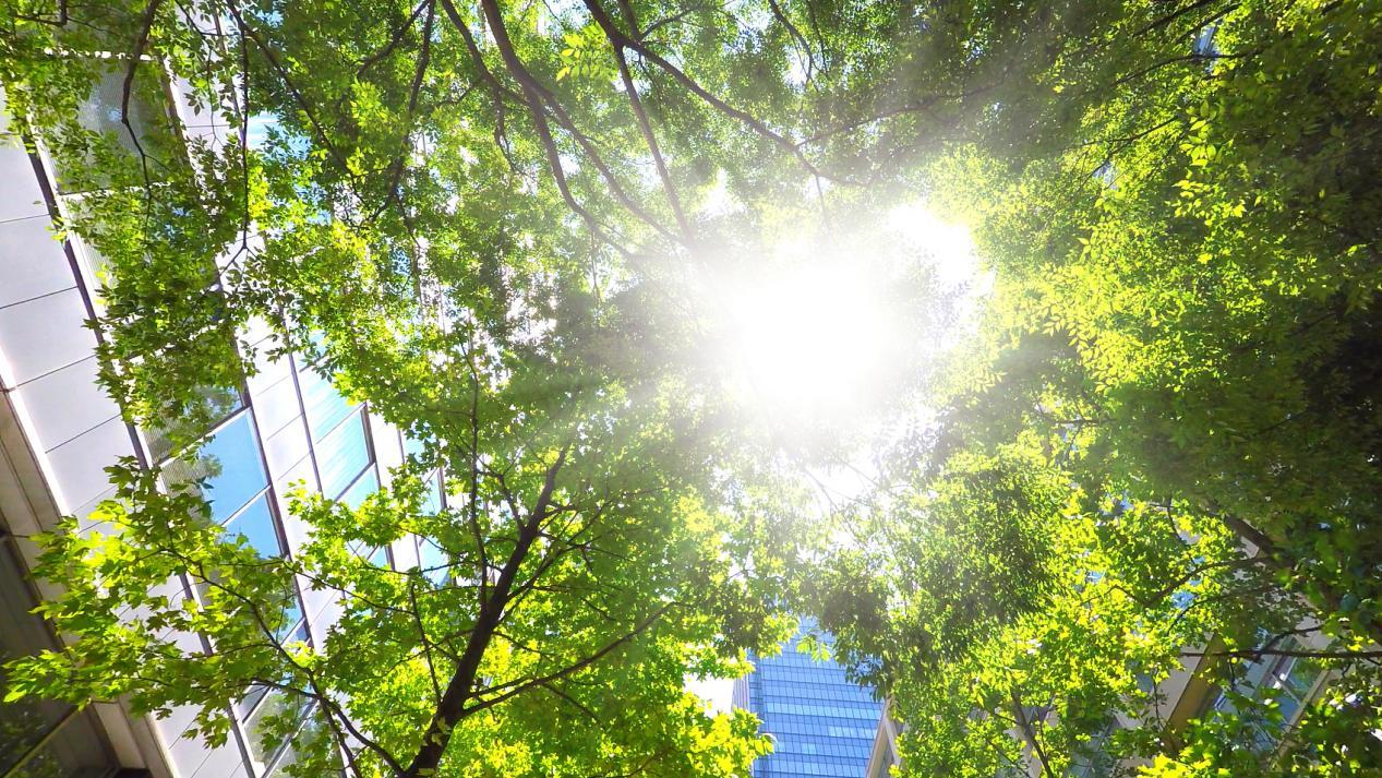 广西四月异常高温里，空调房里的健康提醒