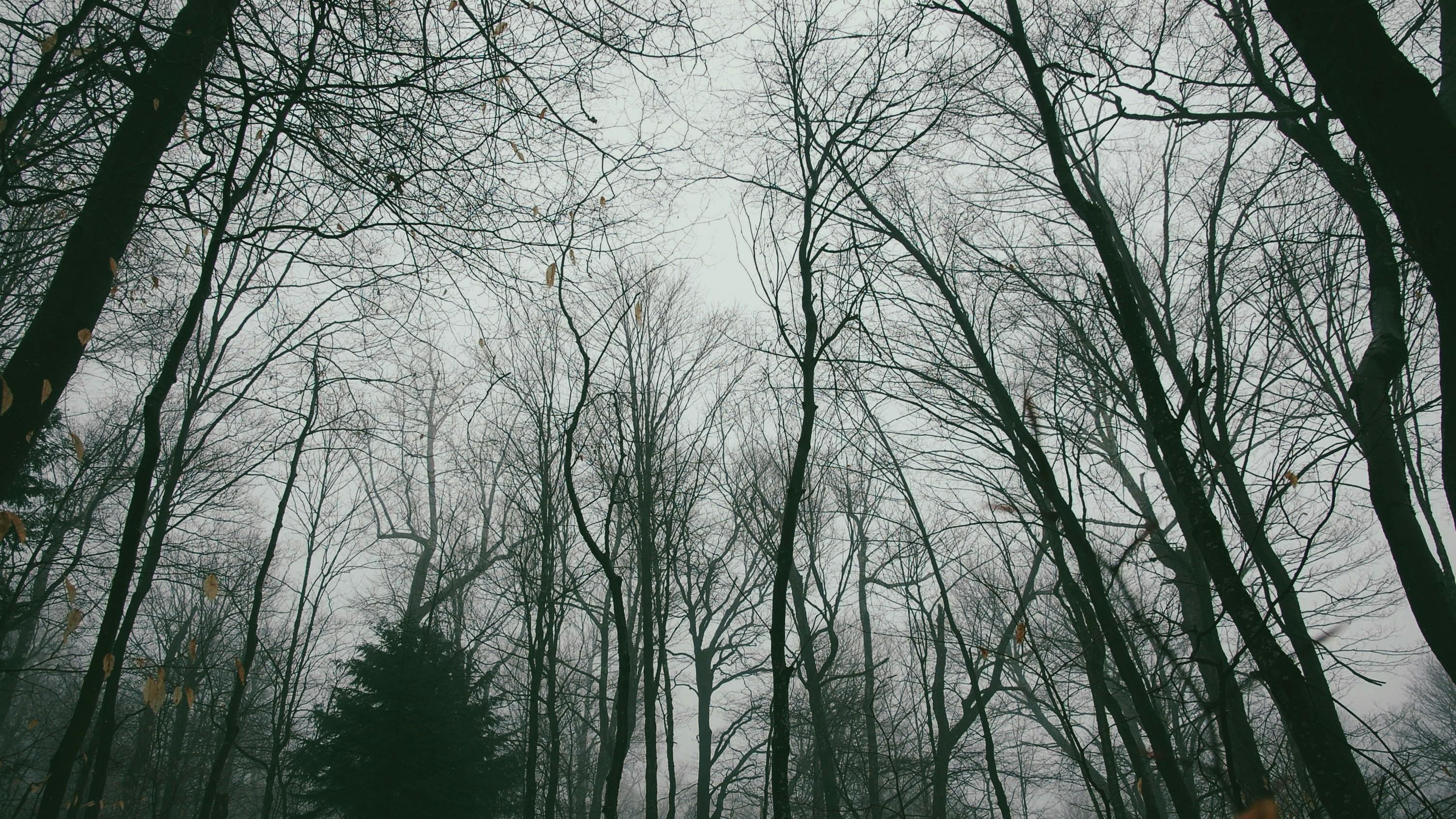 “三十岁，该结婚了。” “恭喜我，该住院了。”