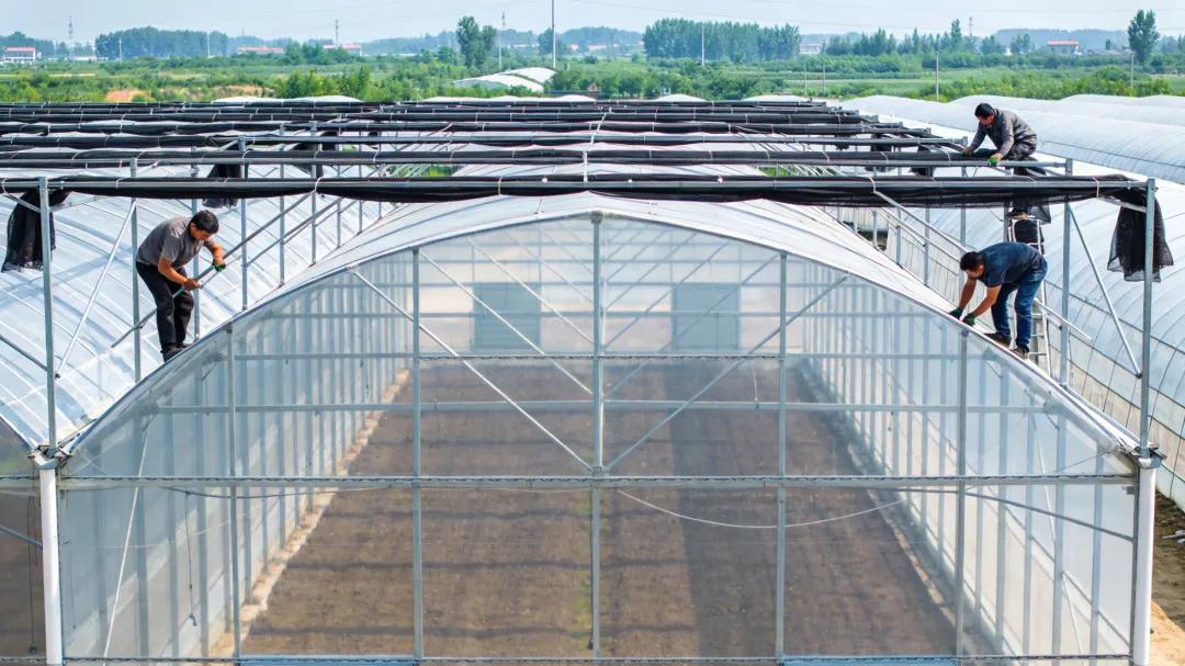 8430标准连栋温室大棚的配置都有哪些，价格是多少?