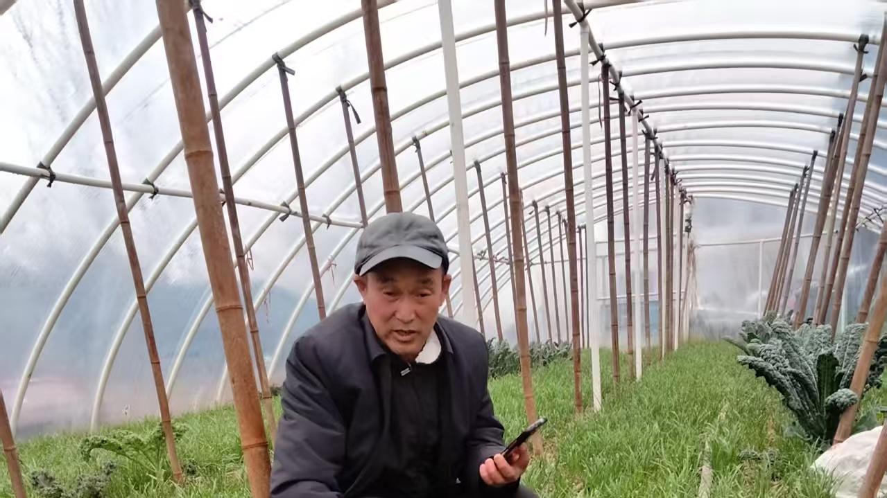 科技暖冬助农忙 韭菜管护有妙招——汝南县科协科普志愿者李海民不顾严寒深入田间送技术