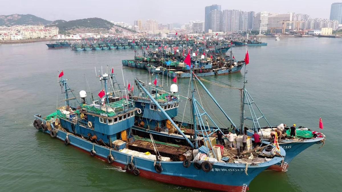 绵延约 467 公里 中国渔船在东海集结 外媒予以关注