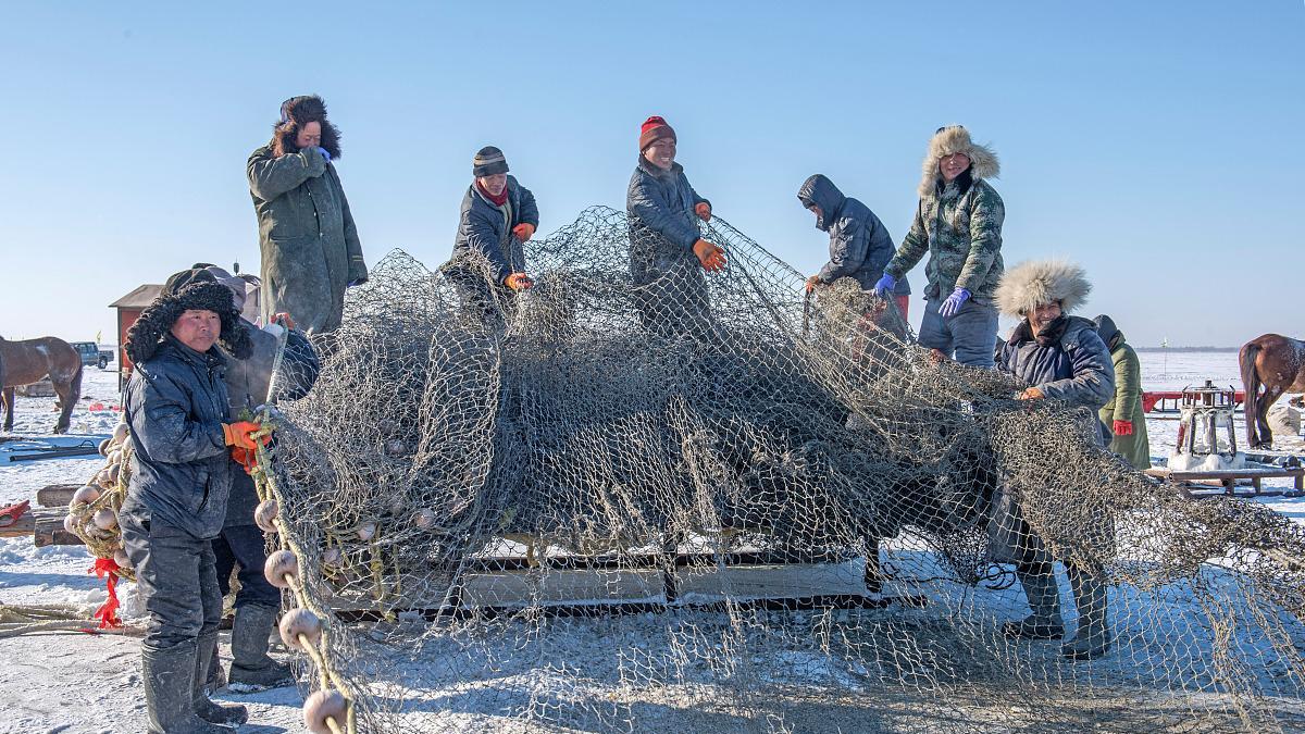 天价头鱼背后的商业密码：169万竞标背后的品牌博弈