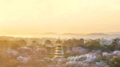 武汉超级文旅日如约而至 半价门票、多重优惠邀你赏樱