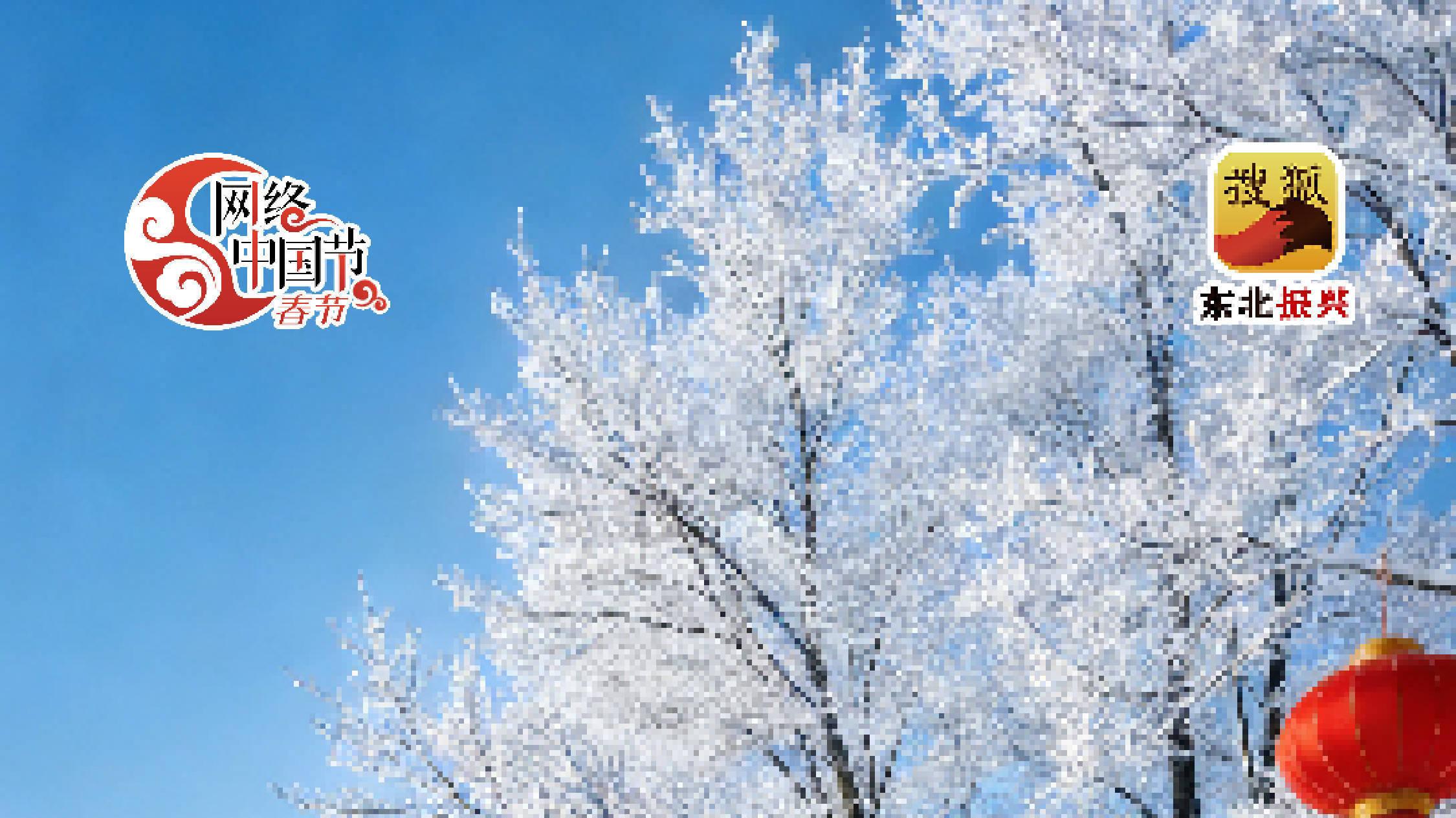 网络中国节·春节|雾锁松水呈瑞景 凇开吉年启新程