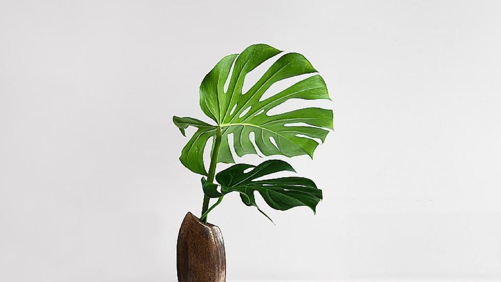 比特币腰斩，还有人想抄底？