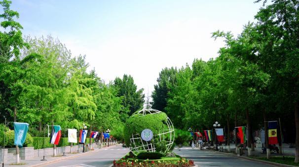 北京语言大学是双一流么？这一学科实力强劲，让它成为下一轮热门“种子选手”