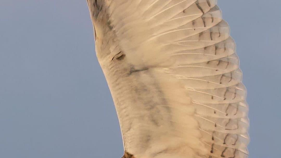 7个迹象表明你智商很高，即使你自己并不这样认为