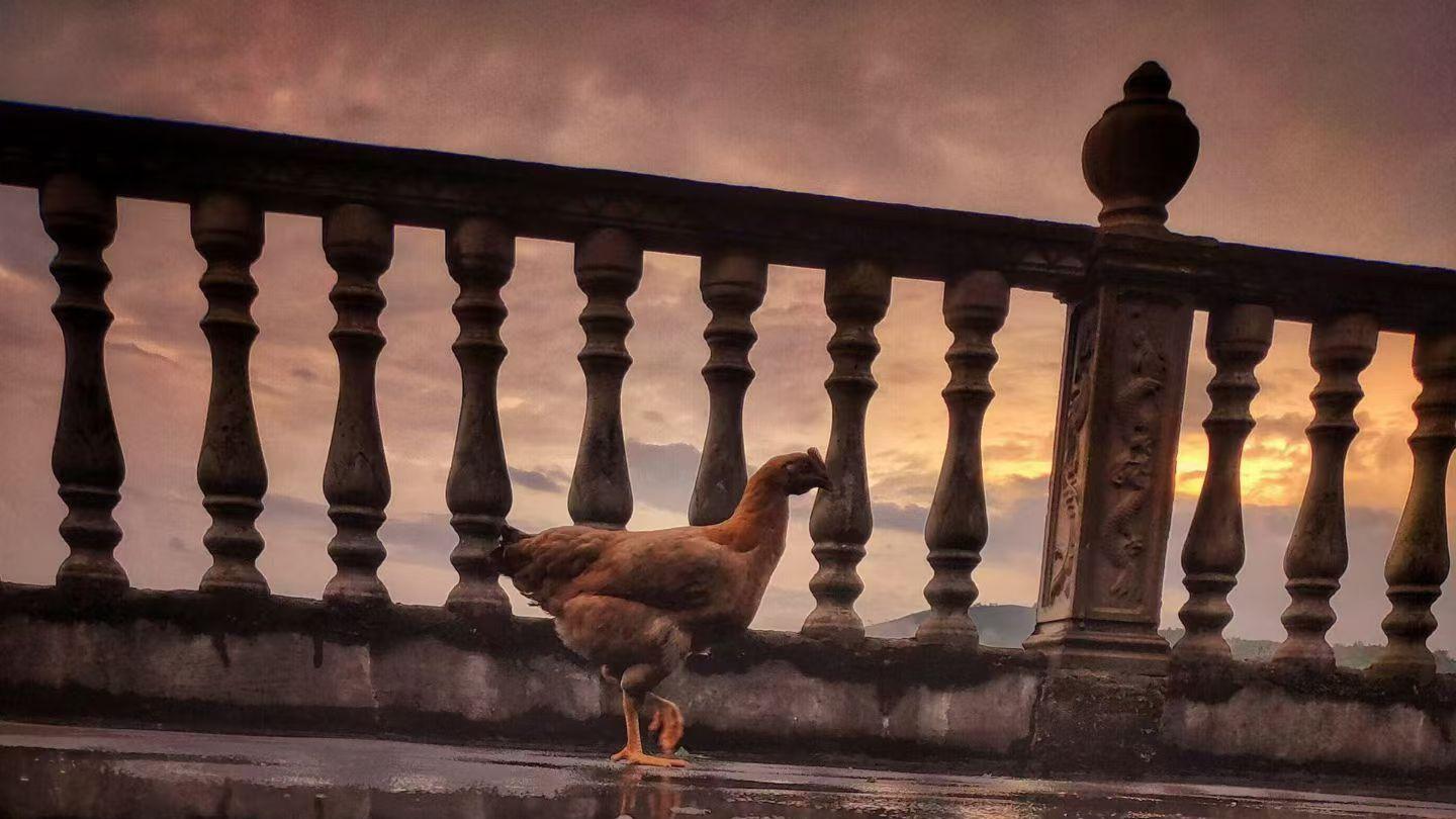 清风筹谋: 年入百万，靠的不是自己卖卖卖。