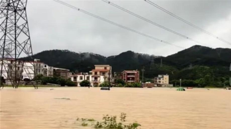 中国茉莉之乡遭遇洪灾 已基本无法采摘 多家奶茶品牌驰援