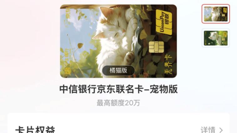 消费10%返现、宠物免费领生日礼！京东支付推出宠物主题信用卡，养宠更省钱