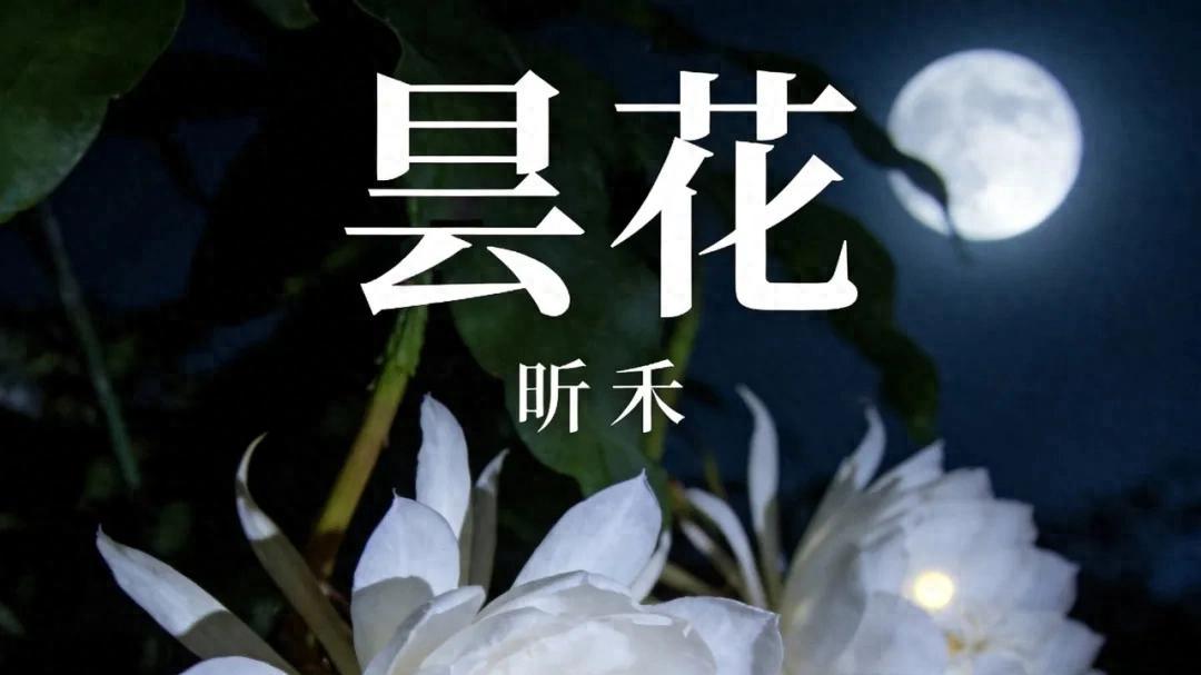 歌手昕禾全新单曲《昙花》上线：刹那芳华，唱尽执着与热爱