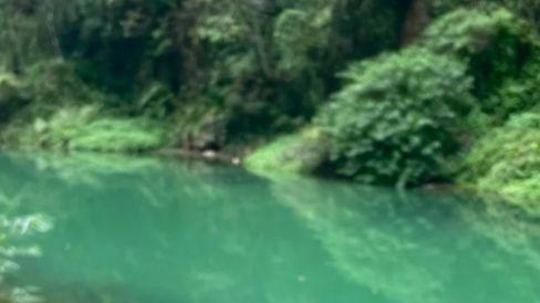 溪水潺潺，峰林相望：这才是张家界的慢时光