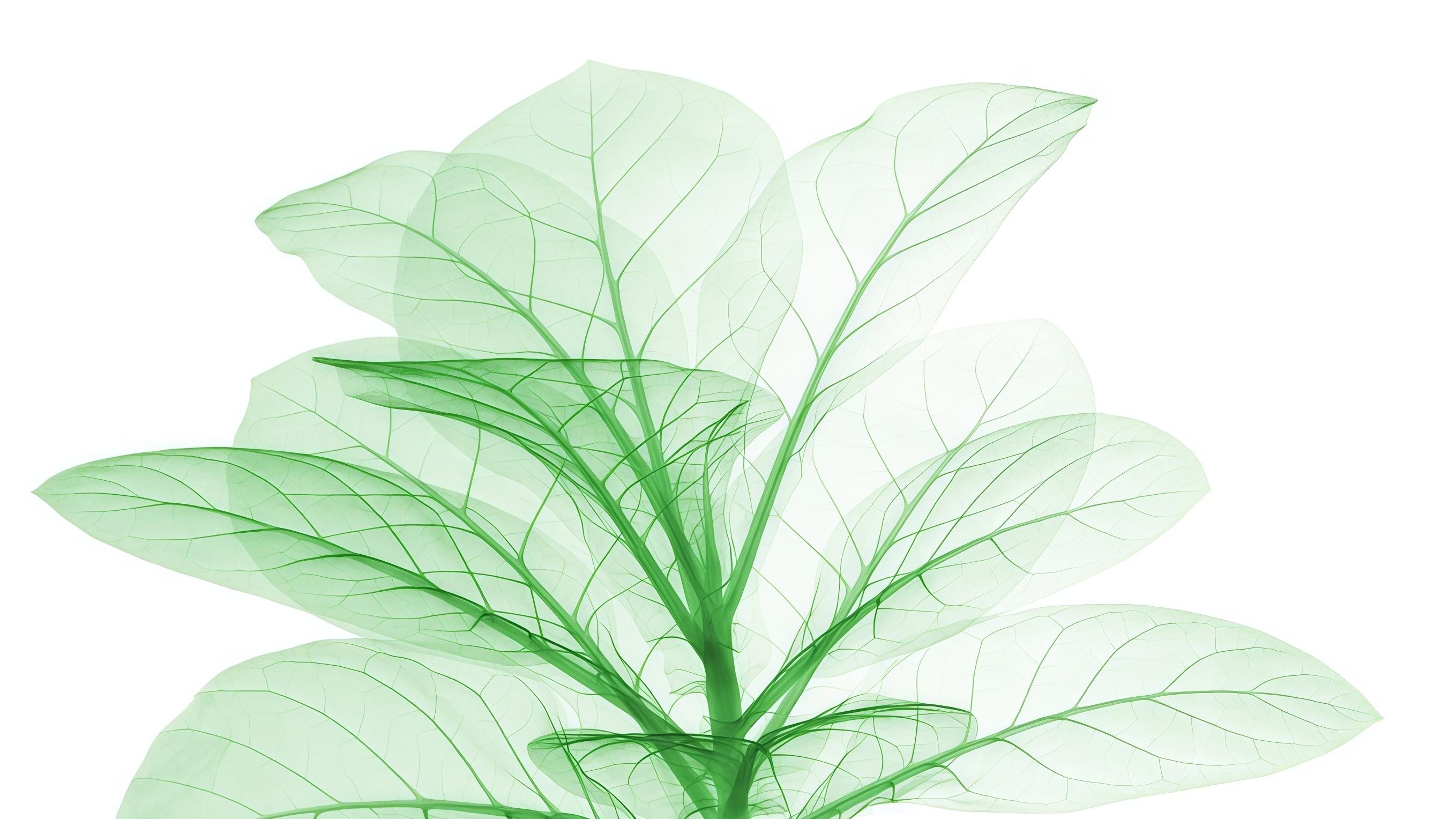 中东战火撞上大国外交：这场意外为何棘手？