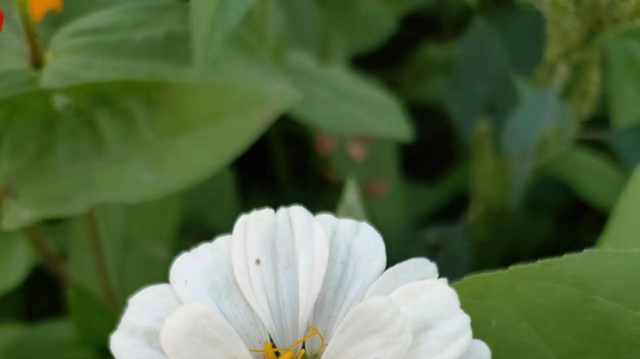 《易经》：人走好运之前，往往会出现这3个征兆