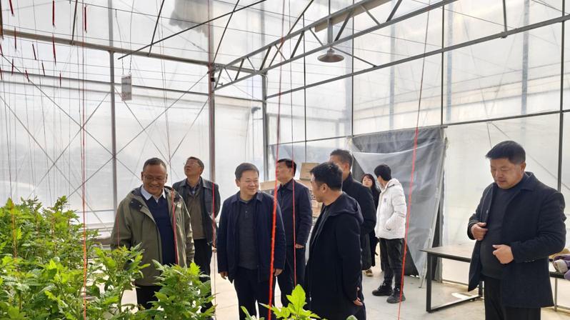 湖北麻城市3亿元退役锂电池循环再利用项目