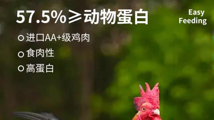 哪个品牌的猫粮好？2026综合高口碑猫粮前十名梯队特点