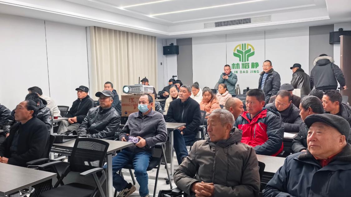 国家油菜产业技术体系信阳综合试验站助力罗山油菜产能提升