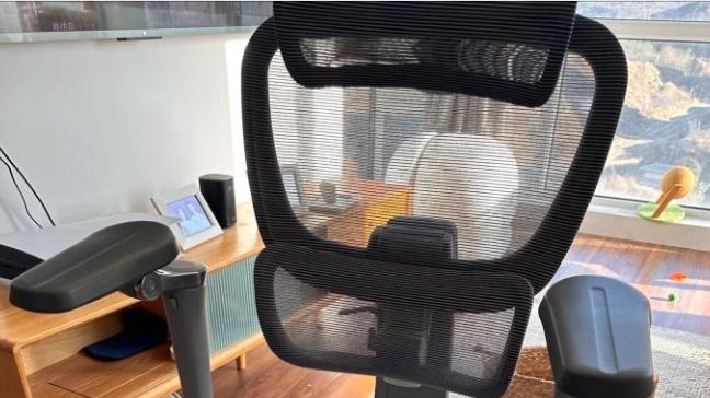 人体工学电脑椅买什么牌子？十大最舒服的人体工学电脑椅推荐