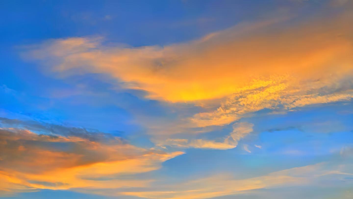 人这一生，不过是借一段情，暖一场岁月，守一份心安