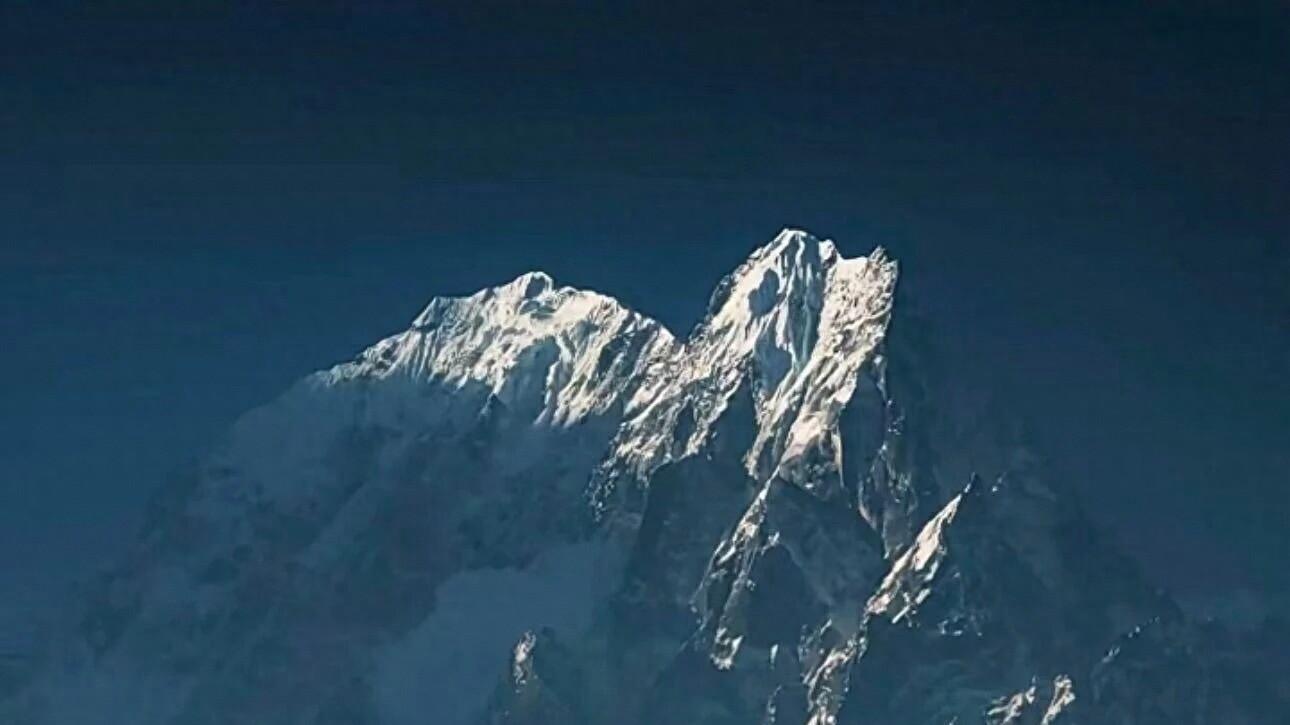 鹦鹉躁动的时刻