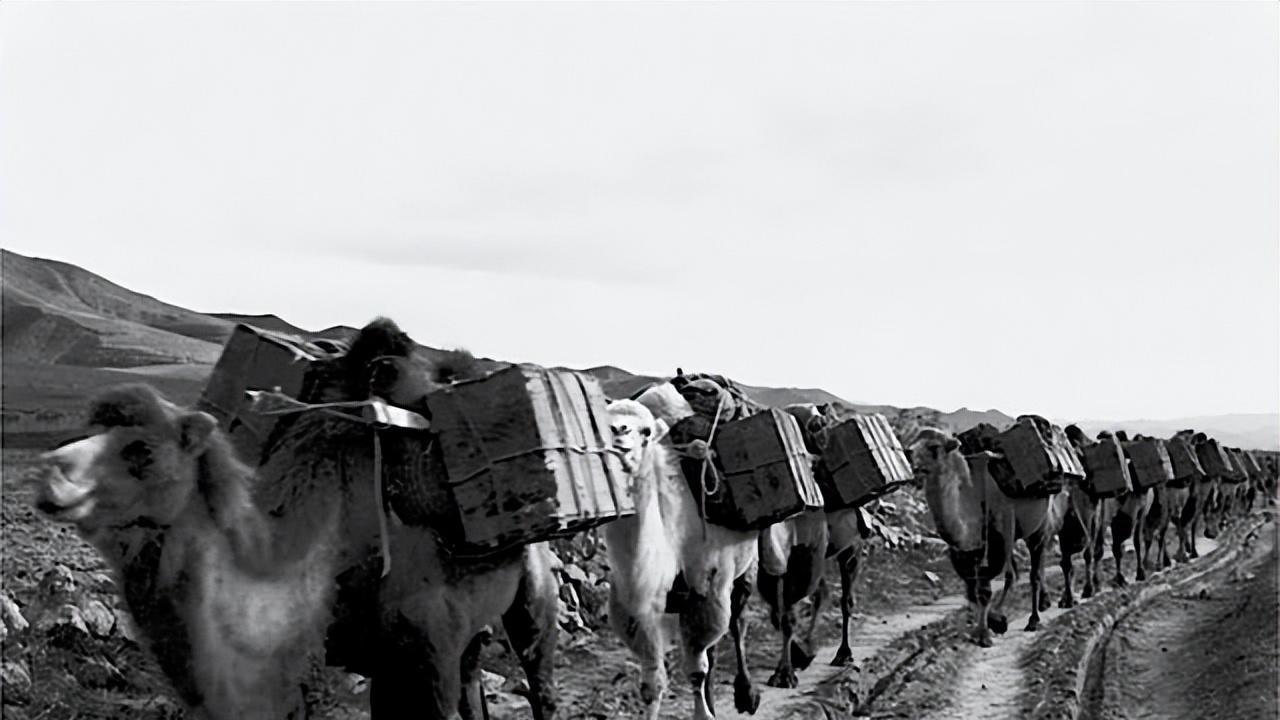 清代晋商与呼和浩特的繁荣