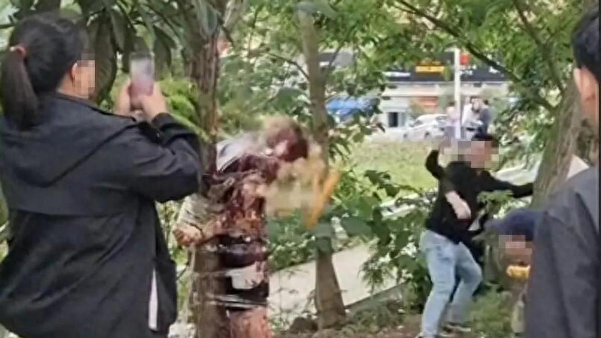 新郎被绑树上泼酱油扔鸡蛋，律师：“婚闹”不是违法挡箭牌
