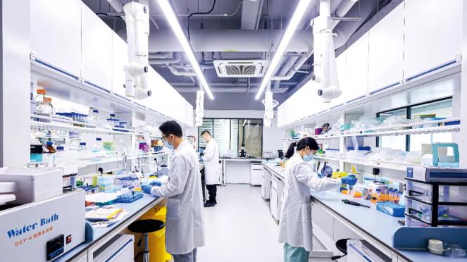 深圳理工大学怎么样？新晋热门研究型高校，高分扎堆！