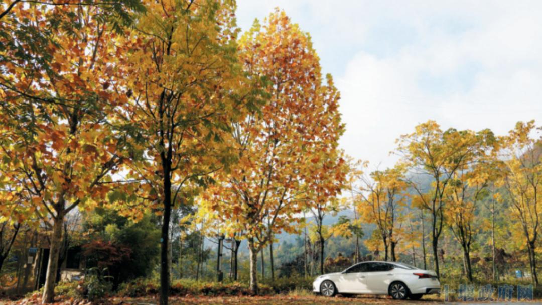 十堰，究竟藏了多少“马”？