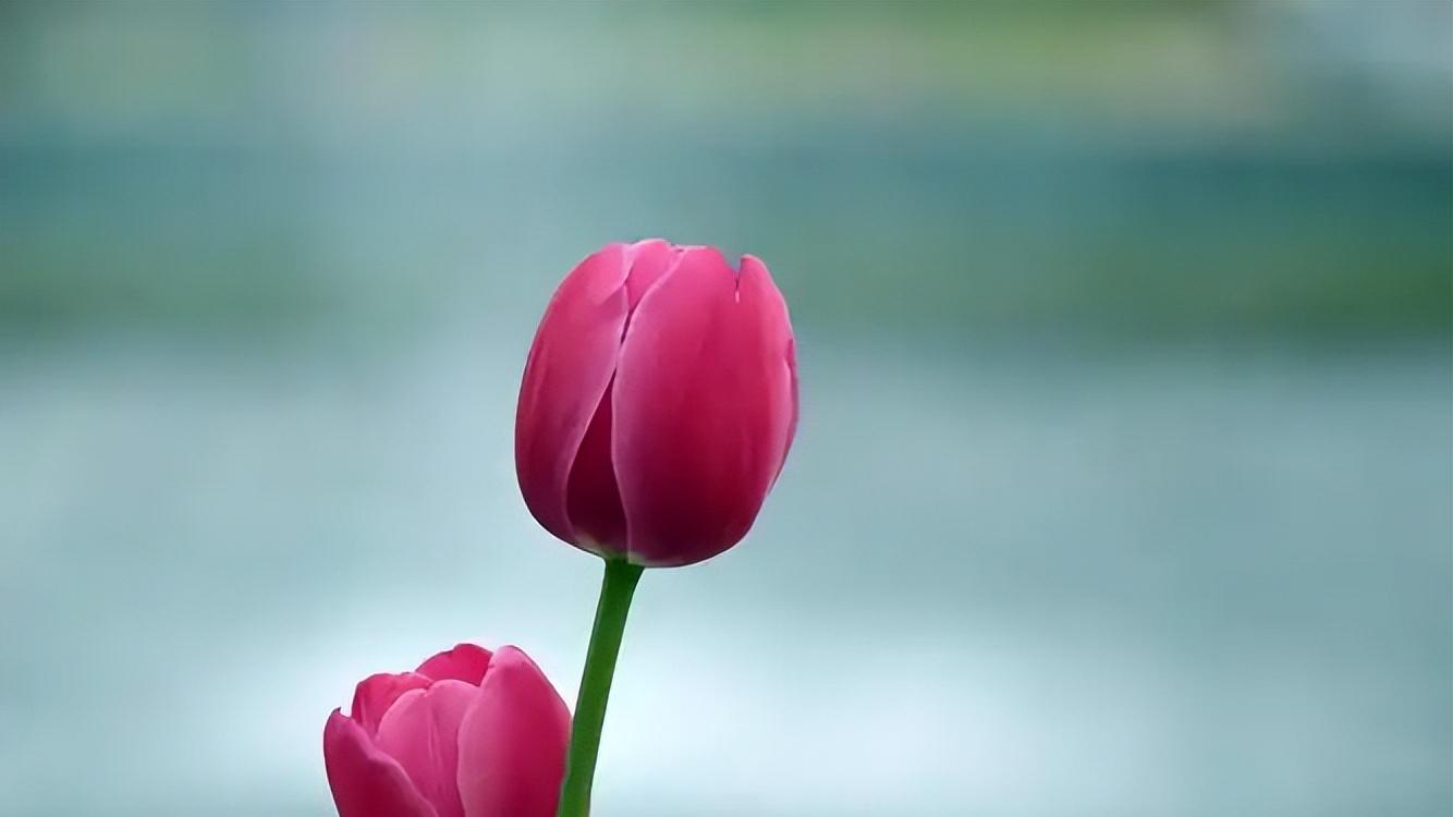 不舒服的关系，能避开就避开