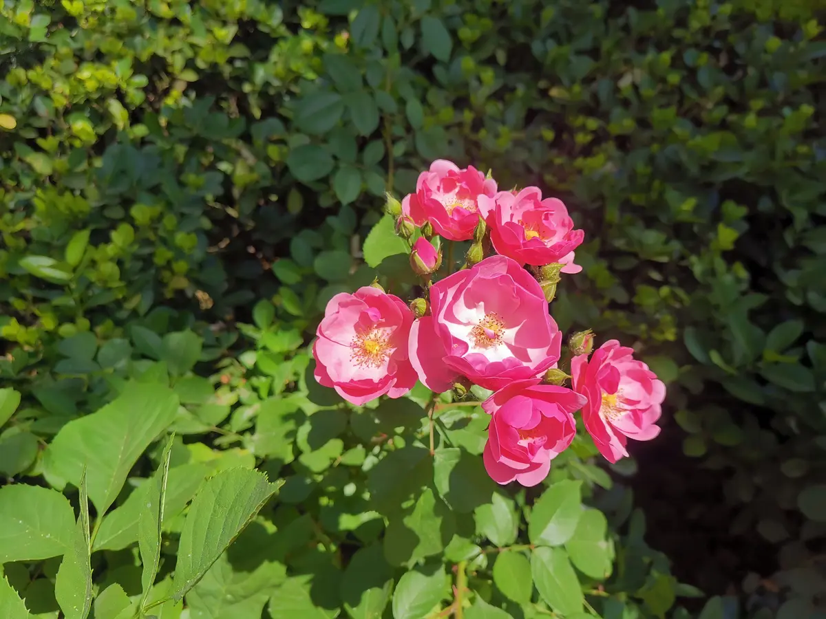 先行动起来，才能找到方向