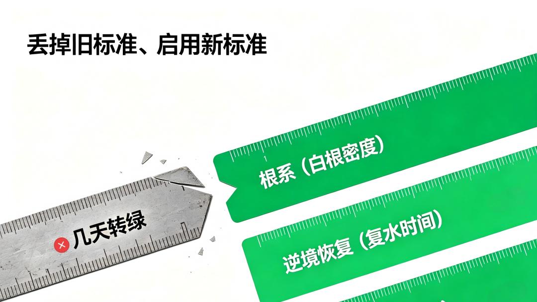 "氨基酸肥见效慢，不如化肥来得快"——不是慢，是你用错了尺子