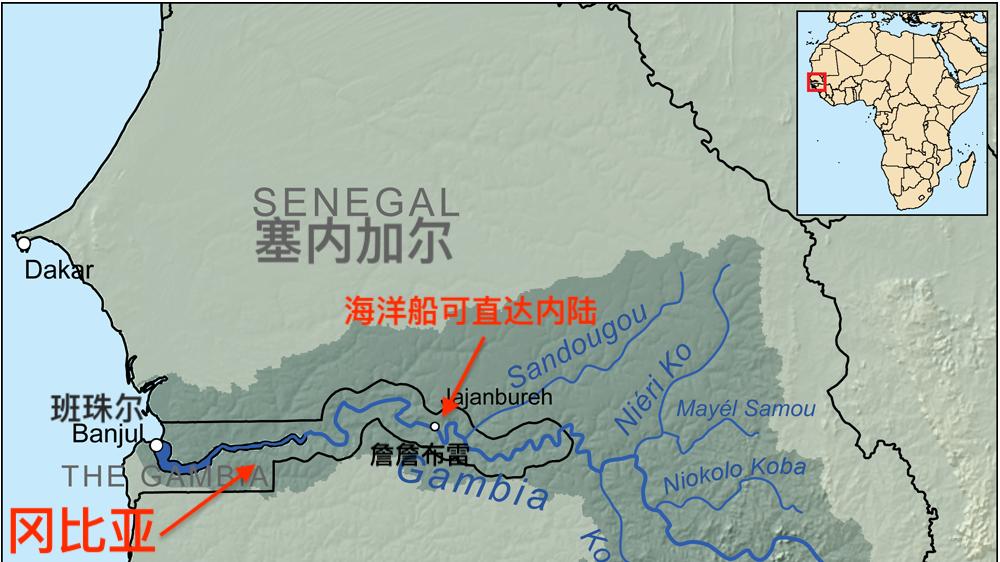 塞内加尔肚子中，那一长条蚯蚓是什么？