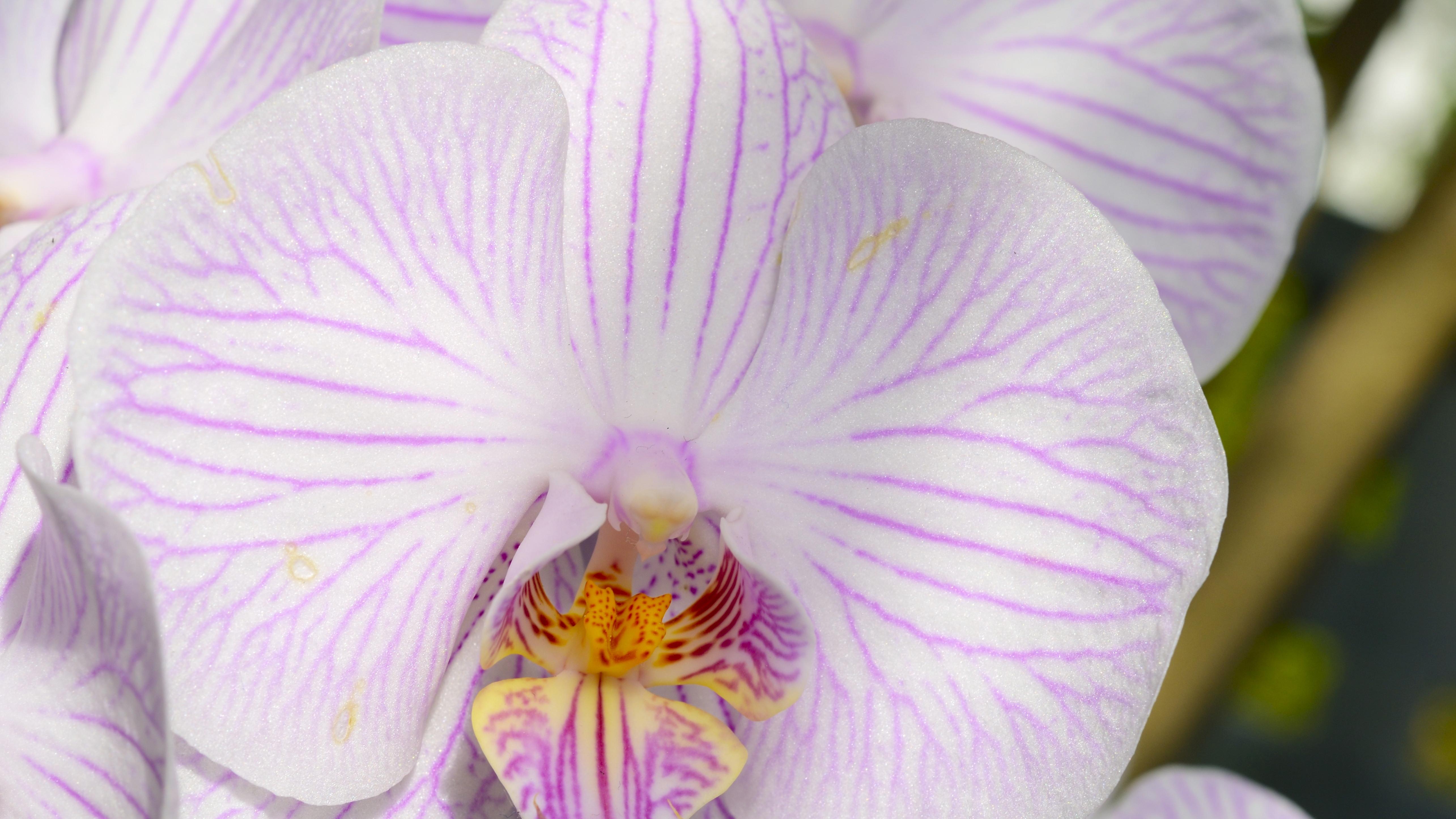 谁才是美丽国真正的“债主爸爸”？