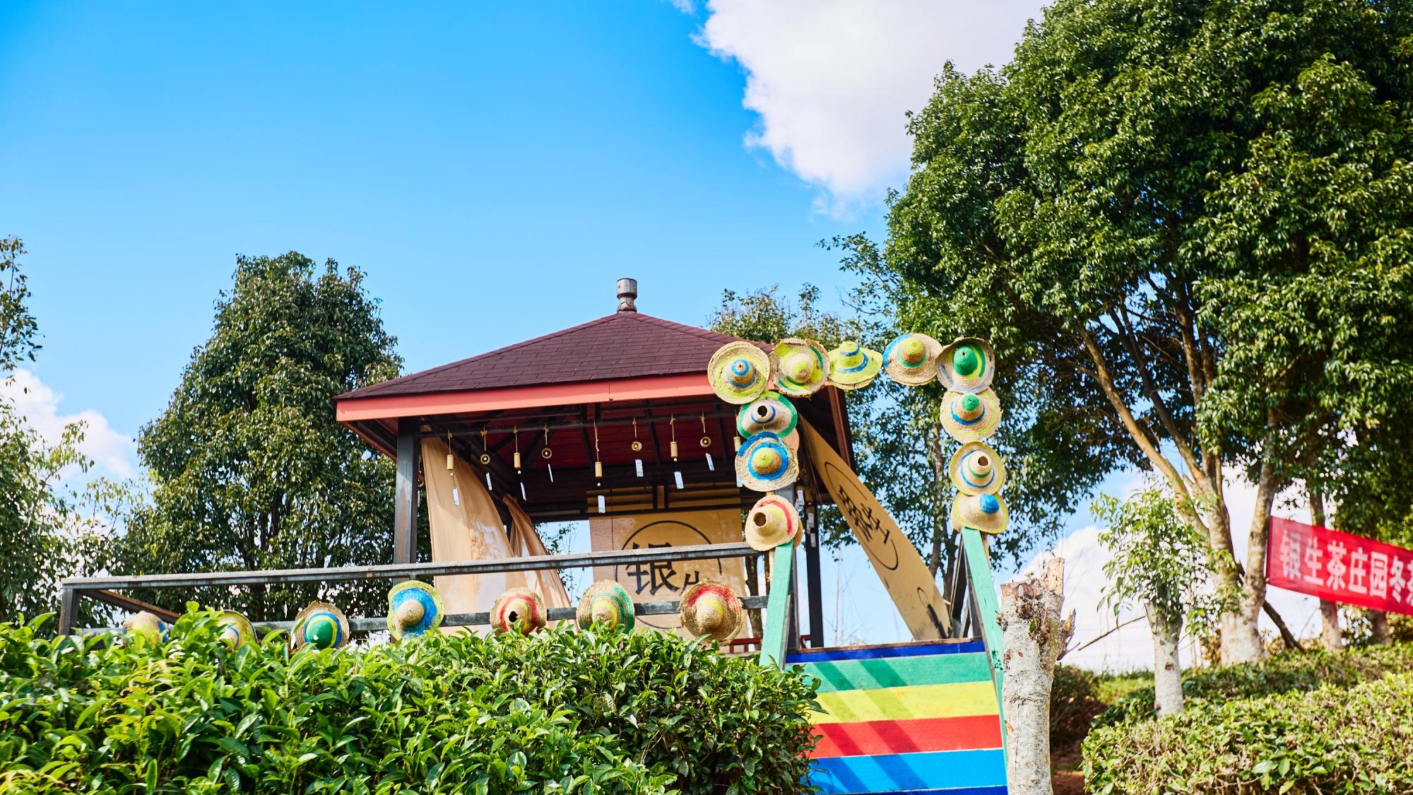 普洱银生茶庄园，看一片茶叶的山水乡愁，感受回味悠长的滇南茶韵