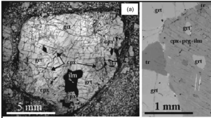 什么是SEM？扫描电子显微镜的原理、结构、发展与应用全解析