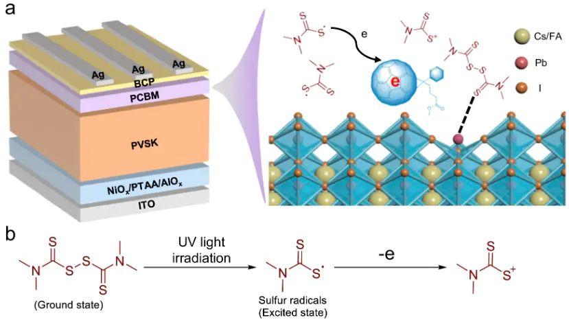 什么是掺杂？定义、机制与多领域应用解析