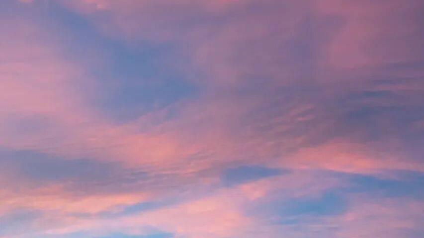 今年家电市场开局即开火！