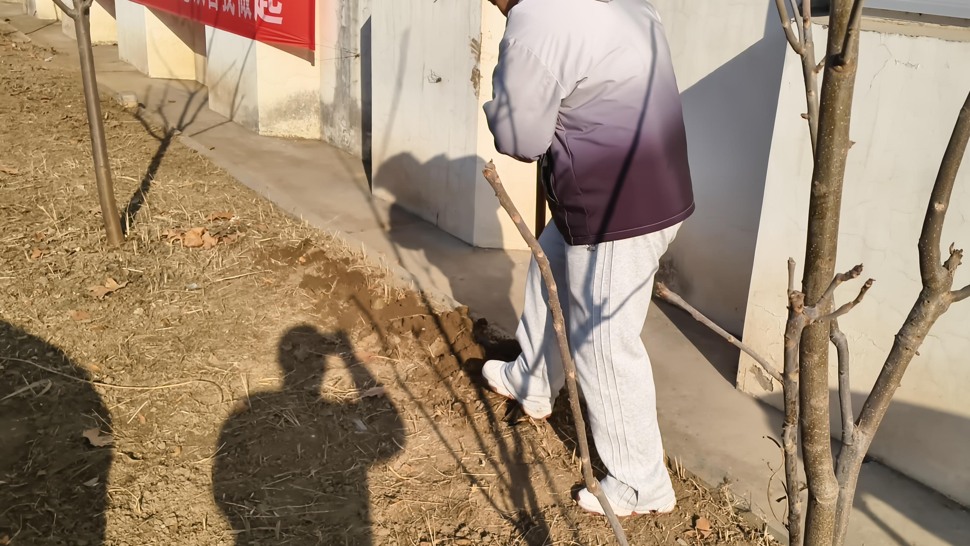 渤海钻探钻井公司组织开展植树活动