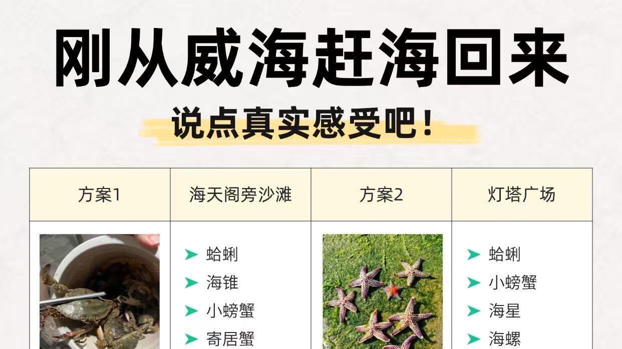 3月威海旅游，免费赶海地