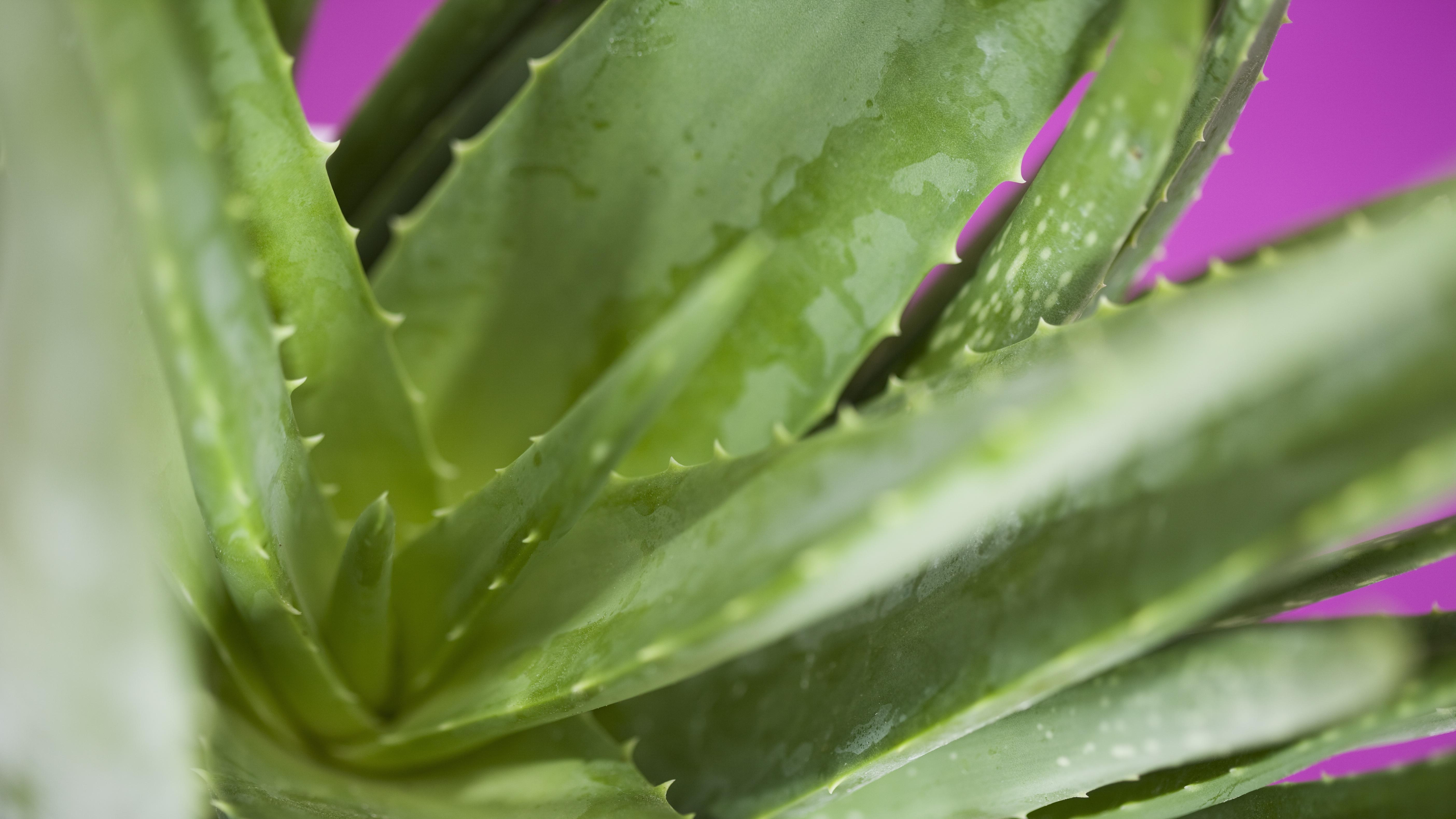 证监会放大招：股民终于等来这个长钱信号