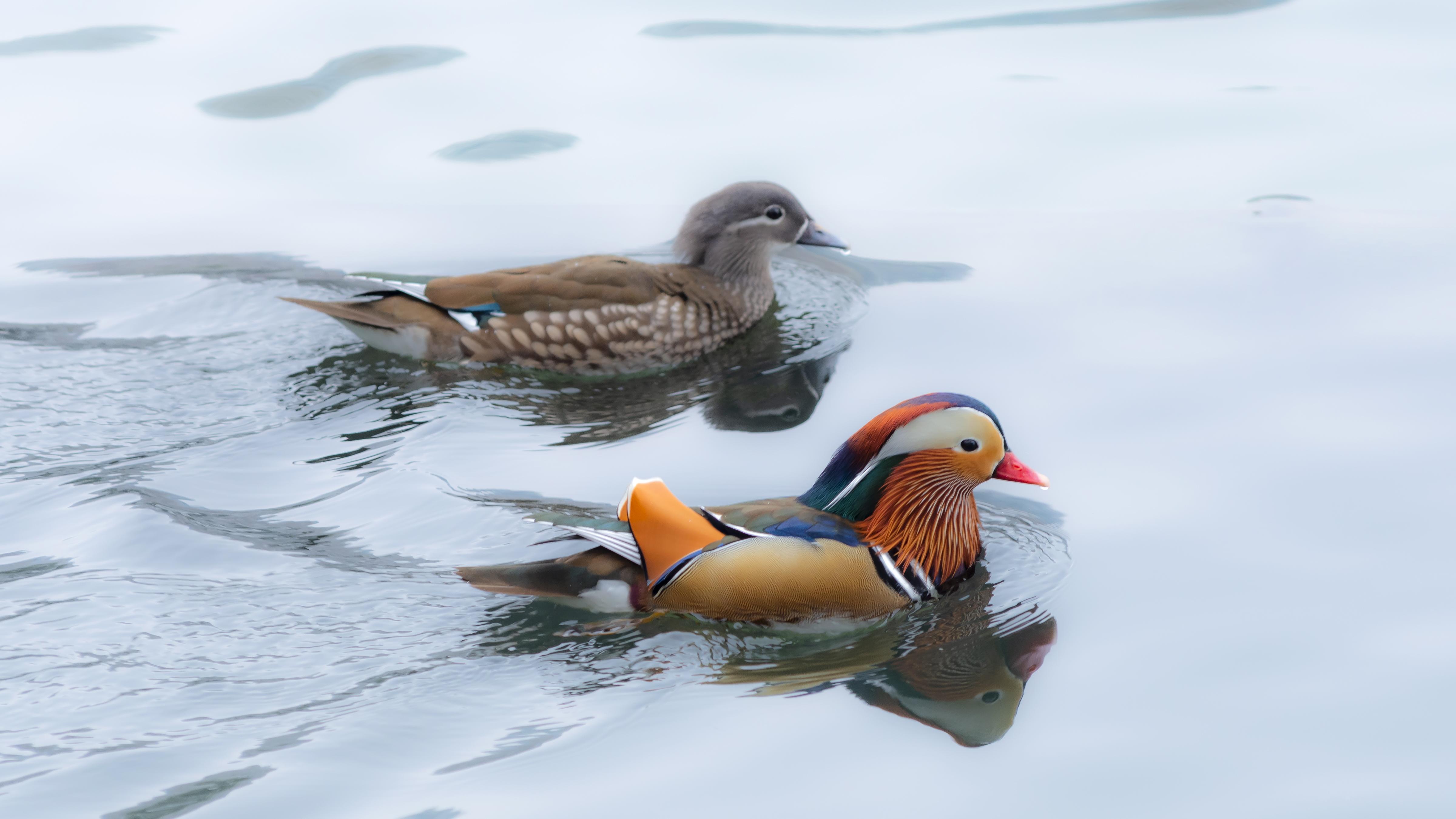医保刷脸支付来了，为什么“别高兴太早”？