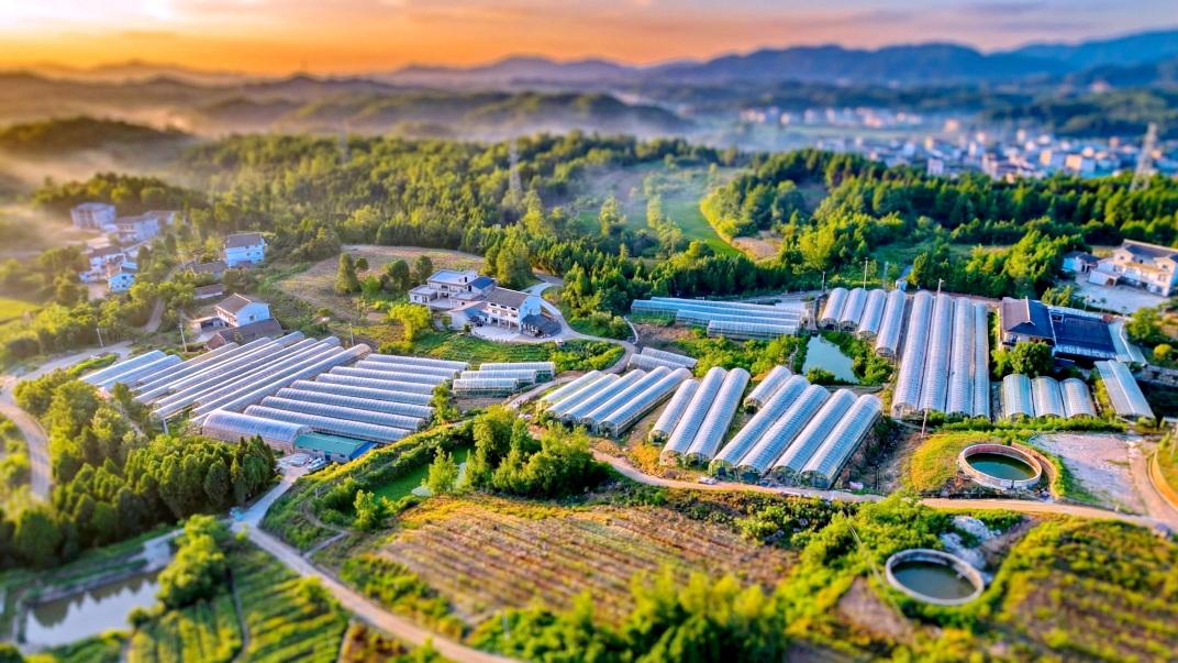 问答四川·广元 | 利州2025：始于烟火，向光而行