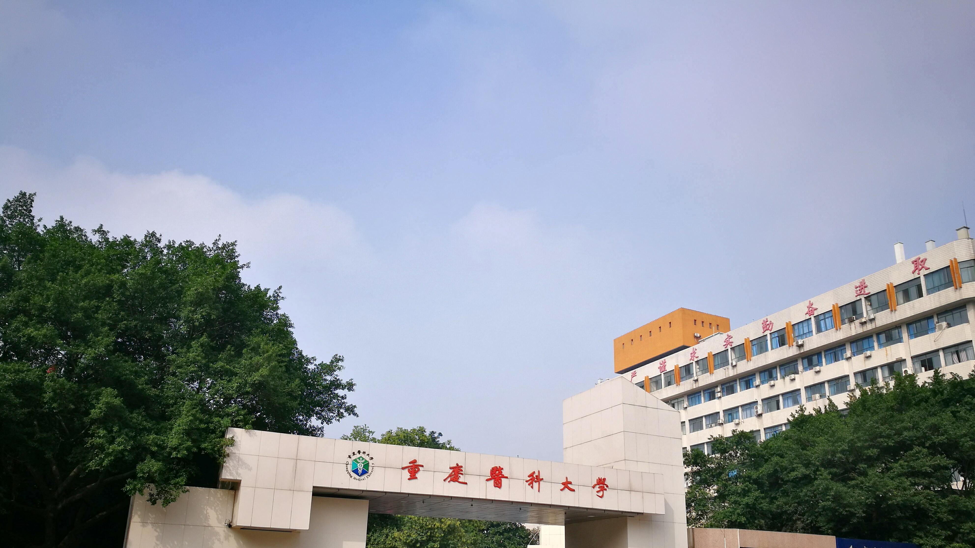 国内高校分享第143期：重庆医科大学-中西部医学生真能公费进辛辛那提儿童医院？