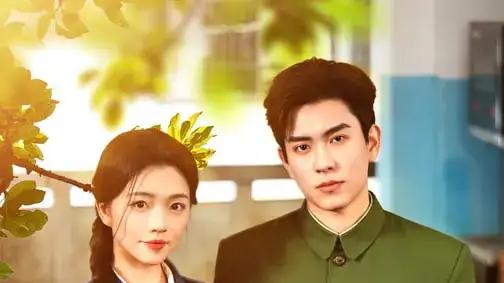 《八零喜事，冷面硬汉追妻十分甜》高甜年代CP，军婚撒糖，全程姨母笑停不下来。