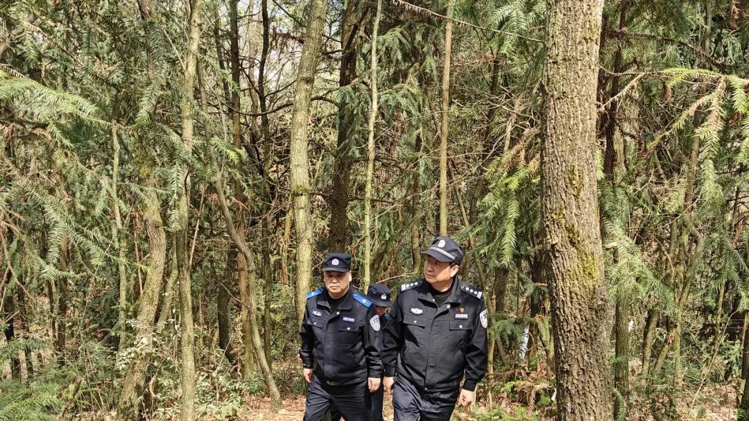 “警察蓝”守护“生态绿” 习水公安筑牢生态安全坚固防线