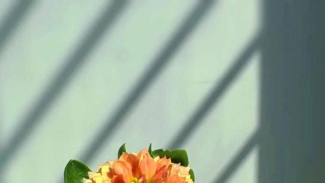 这个地区，超过100岁直接发10万现金