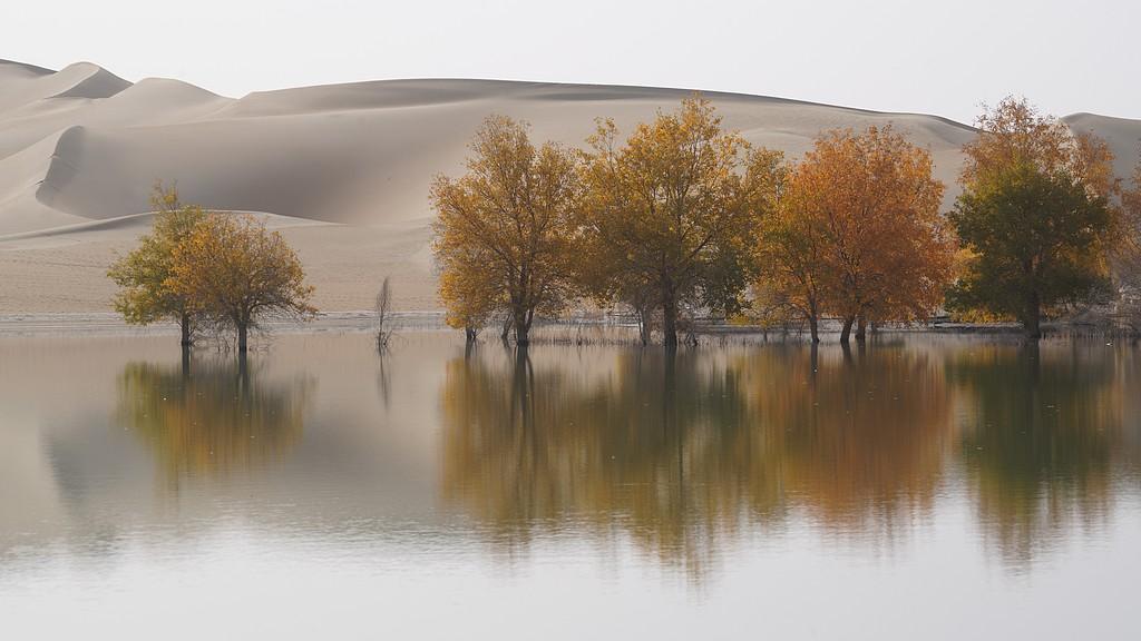 3 - 6岁幼儿春季保证充足睡眠能预防感冒吗？