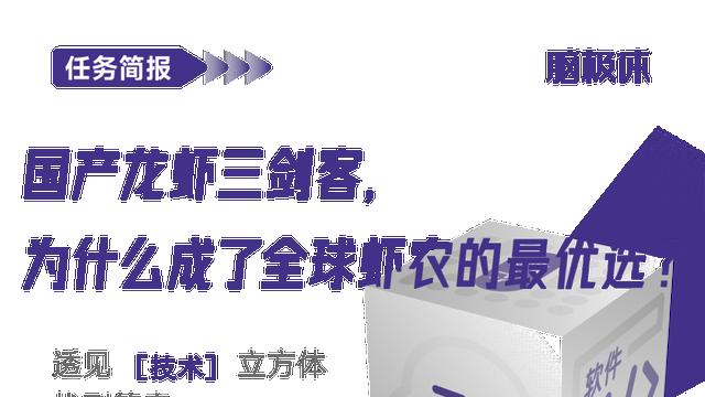 国产龙虾三剑客，为什么成了全球虾农的最优选？