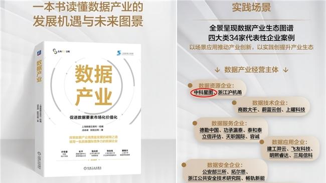 实力认证！中科星图获上海数交所感谢信，权威入选《数据产业》专著