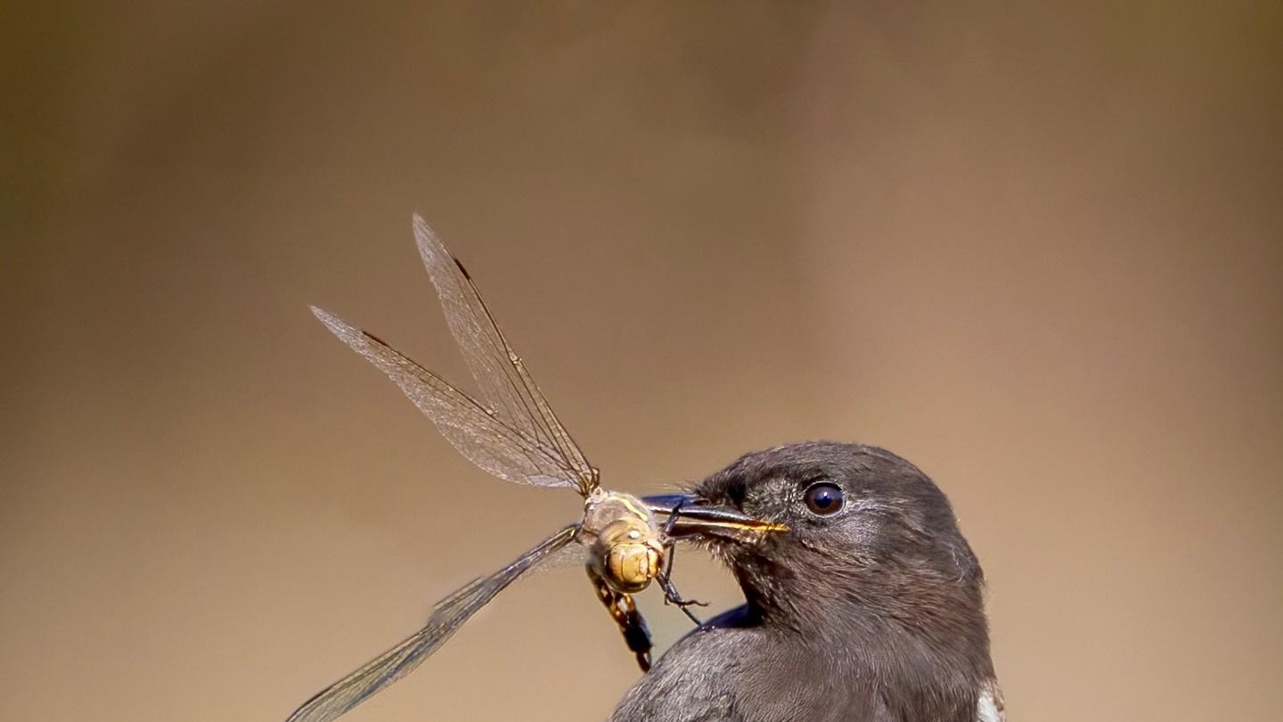 人人都在说“去创业”，这正是大多数人一直穷的原因
